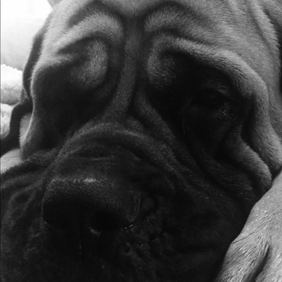 Meet your Posher, San - Picture 5 of 7